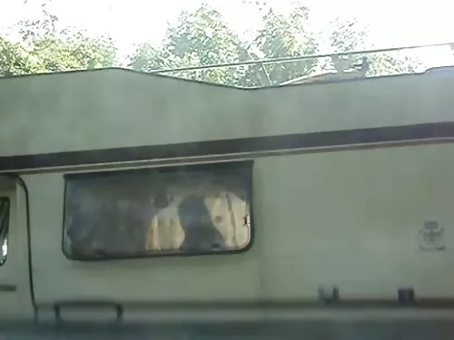 आकर्षक बेब एलेक्स ब् ...